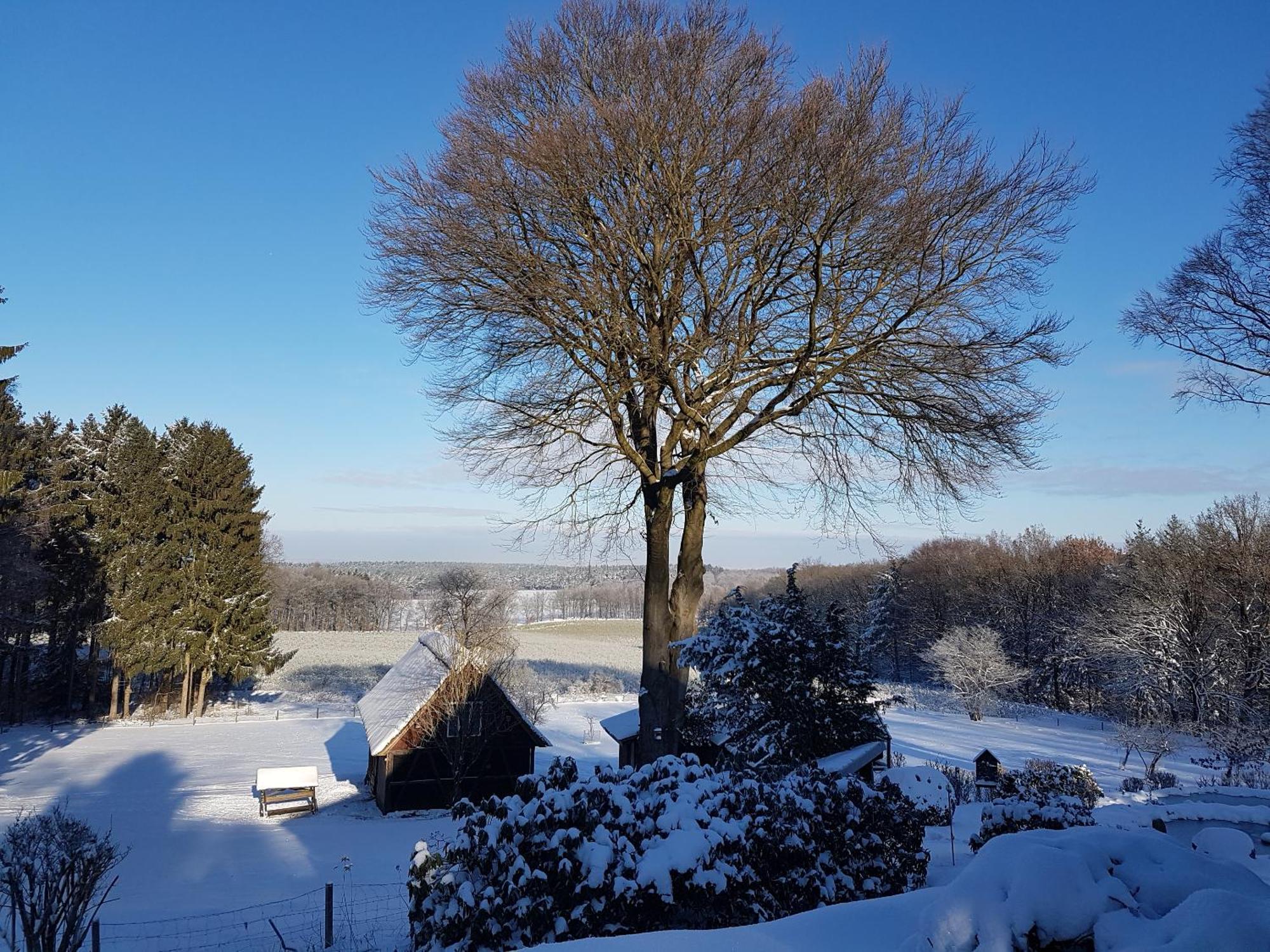 Cafe Und Pension Hoepen Idyll Schneverdingen Exterior foto